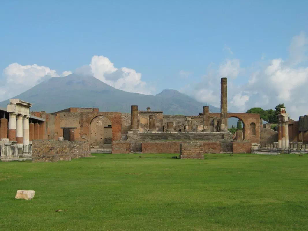 Pompeii and Vesuvius Crater Day Trip from Naples with Lunch and Wine Tasting