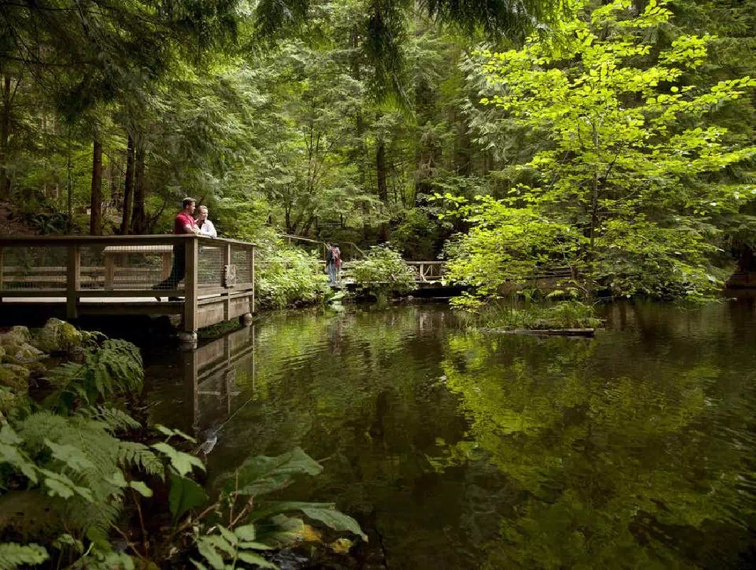 Vancouver City and Capilano Suspension Bridge Park Half Day Sightseeing Tour