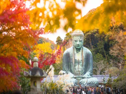 Kamakura and Enoshima Bay 1-Day Tour from Tokyo with Green Tea Experience