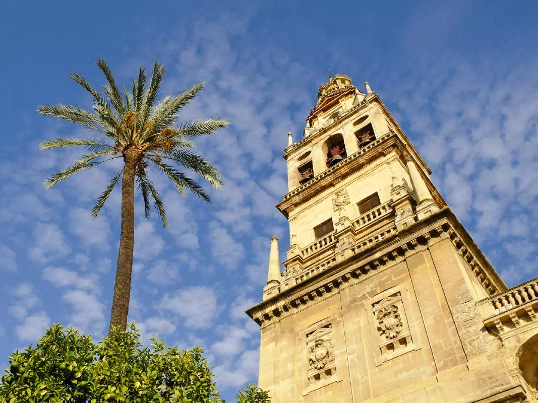 Cordoba Alcazar, Synagogue and Mosque-Cathedral Guided Walking Tour