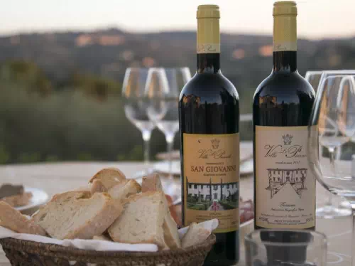 Florence Vineyard Wine Tasting Tour with Authentic Tuscan Dinner