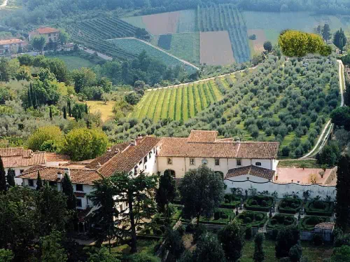 Florence Vineyard Wine Tasting Tour with Authentic Tuscan Dinner