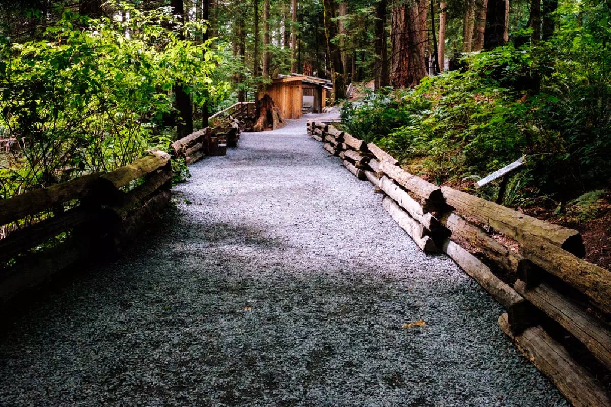 Grouse Mountain and Capilano Suspension Bridge Park Half Day Guided Tour