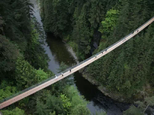 Grouse Mountain and Capilano Suspension Bridge Park Half Day Guided Tour