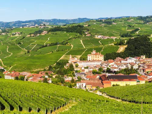 Langhe Wine Tasting Private Tour from Milan with Lunch
