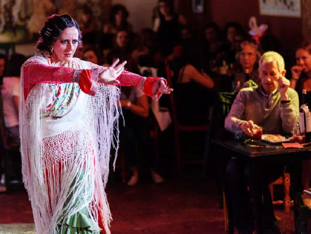 Granada Jardines de Zoraya 1-Hour Flamenco Lesson for Beginners