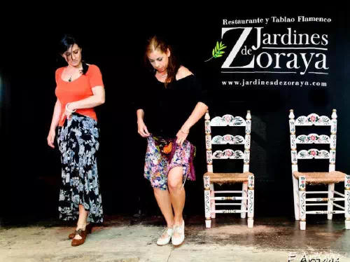 Granada Jardines de Zoraya 1-Hour Flamenco Lesson for Beginners