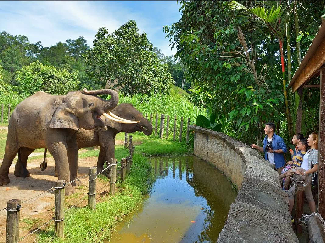 Lok Kawi Wildlife Park Half Day Tour from Kota Kinabalu