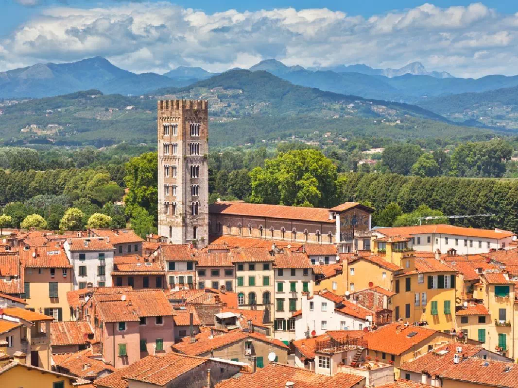 Lucca and Pisa Tour from Florence with Buccellato Tasting