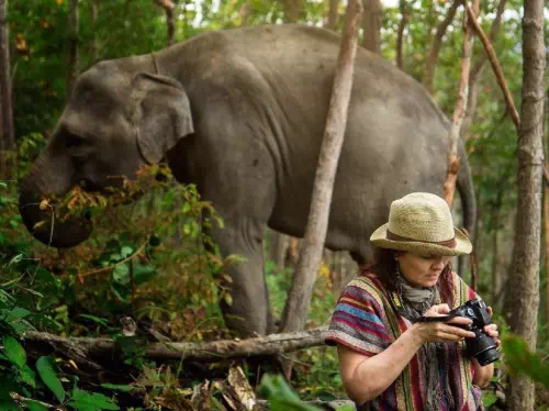 Phuket Elephant Jungle Sanctuary Ethical Half Day Experience