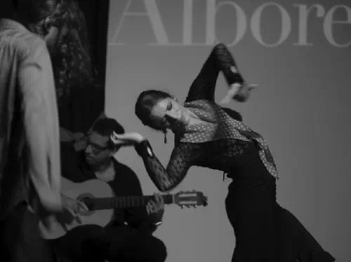 Granada La Alborea Flamenco Show with Drink and Optional Tapas