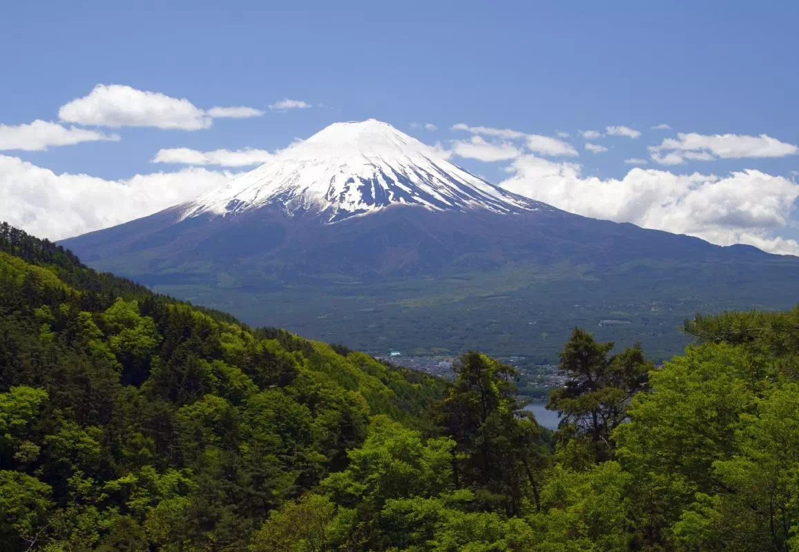 Mt. Fuji Tour from Tokyo with Lake Ashi Cruise and Komagatake Ropeway Ride