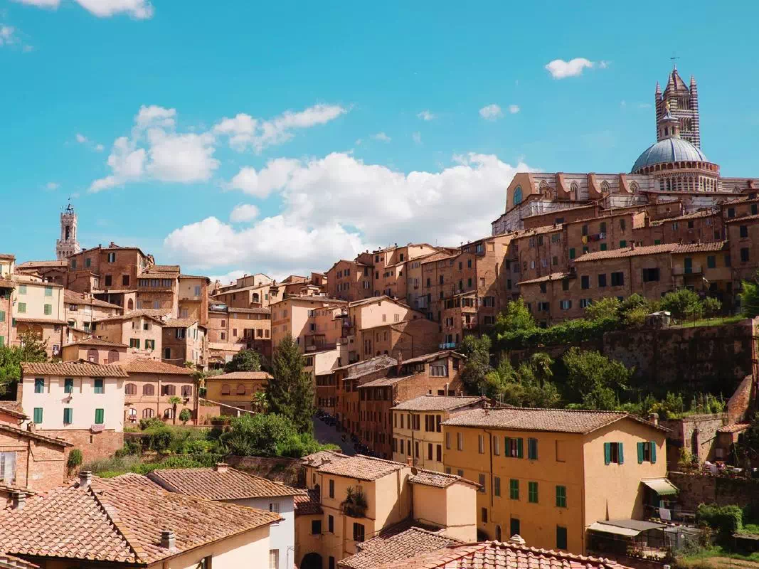 San Gimignano, Monteriggioni, and Siena from Florence Semi-Private Day Trip