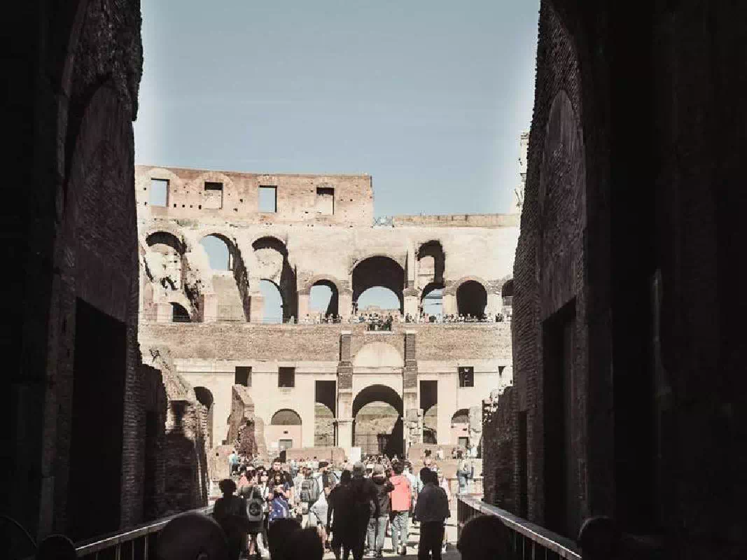 Gladiator's Gate Colosseum Arena Floor Tour with Roman Forum & Palatine Hill