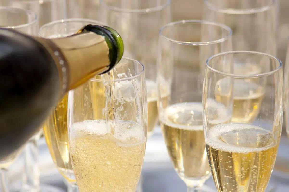 Champagne Tour from Paris in Small Groups with Wine Tastings & Traditional Lunch