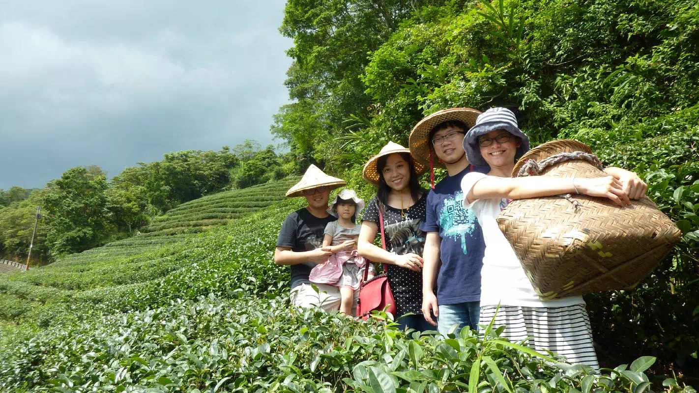 Taipei Tea Culture and Maokong Sightseeing Experience 		