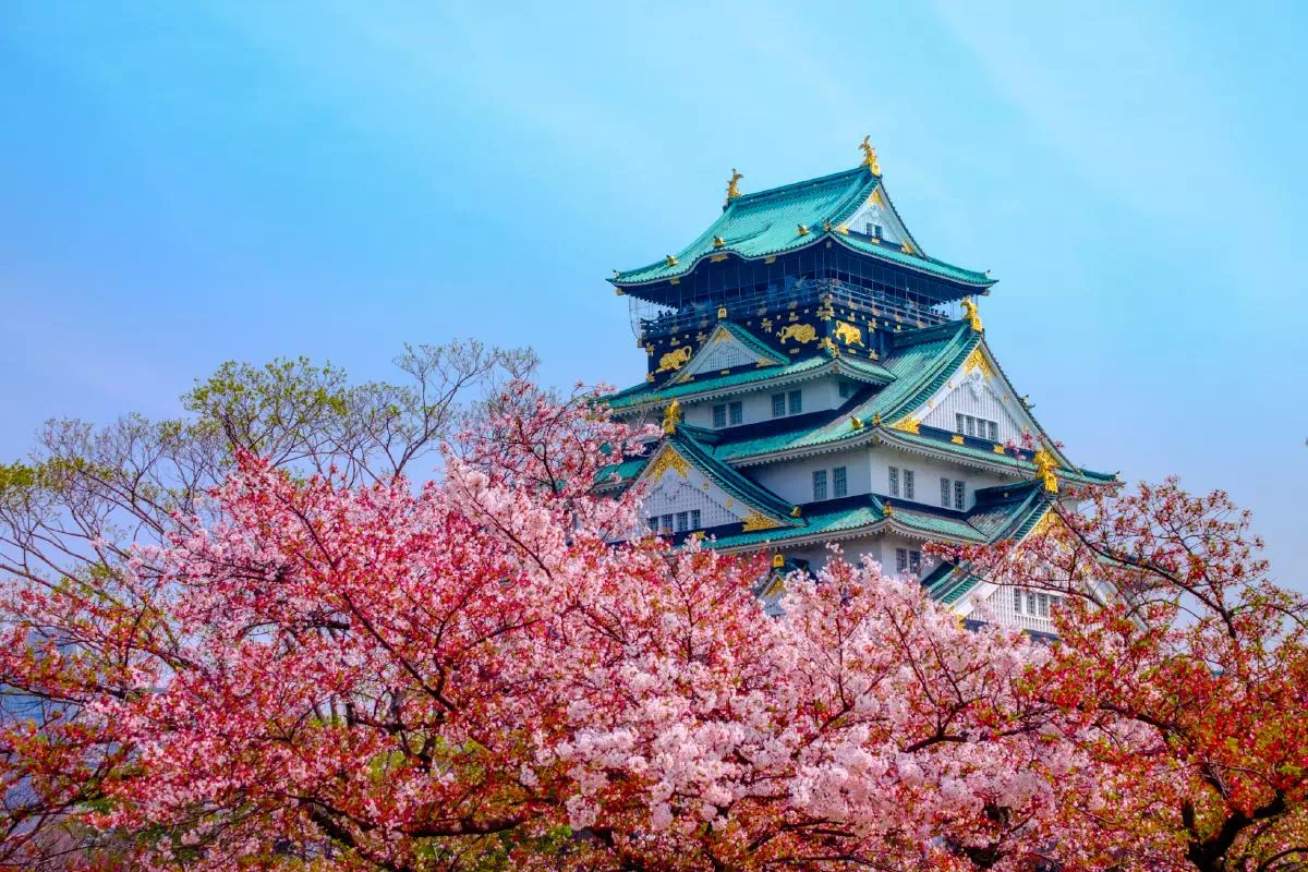 Afternoon Walking Tour of Osaka Castle with Aqua Liner Cruise