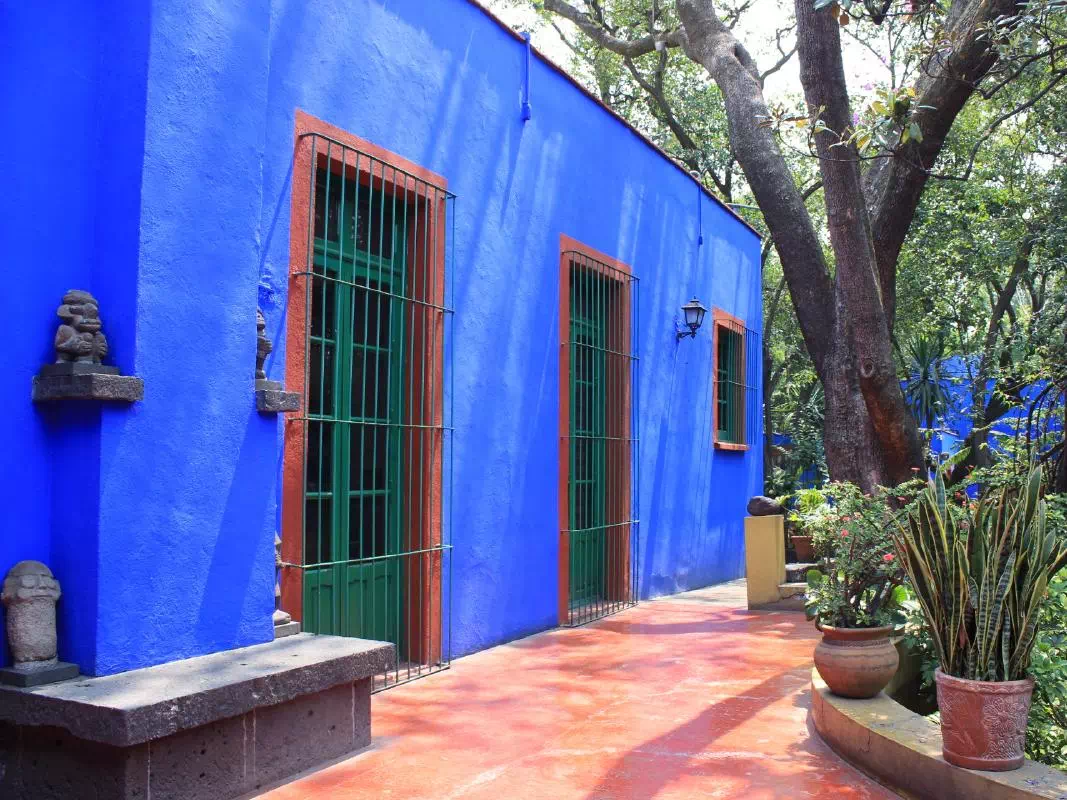 Xochimilco & Coyoacan Sightseeing Tour & Frida Kahlo Museum Admission