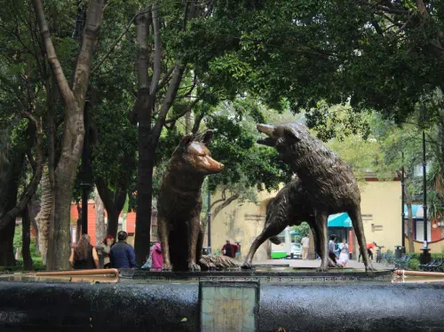 Xochimilco & Coyoacan Sightseeing Tour & Frida Kahlo Museum Admission