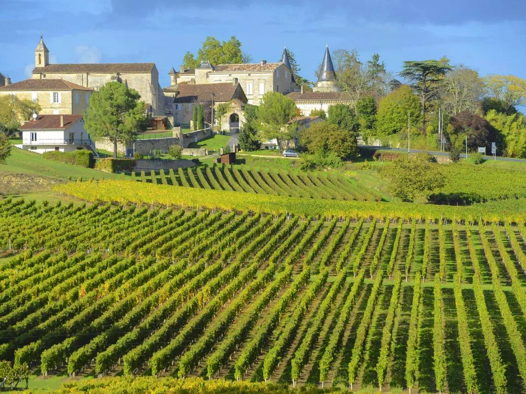 Saint Emilion and Bordeaux Day Trip from Paris in Small Groups with Wine Tasting