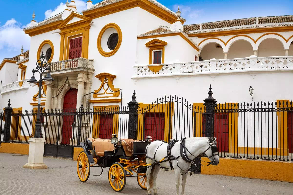 Seville Day Tour from Costa del Sol with Seville Cathedral and Plaza de España