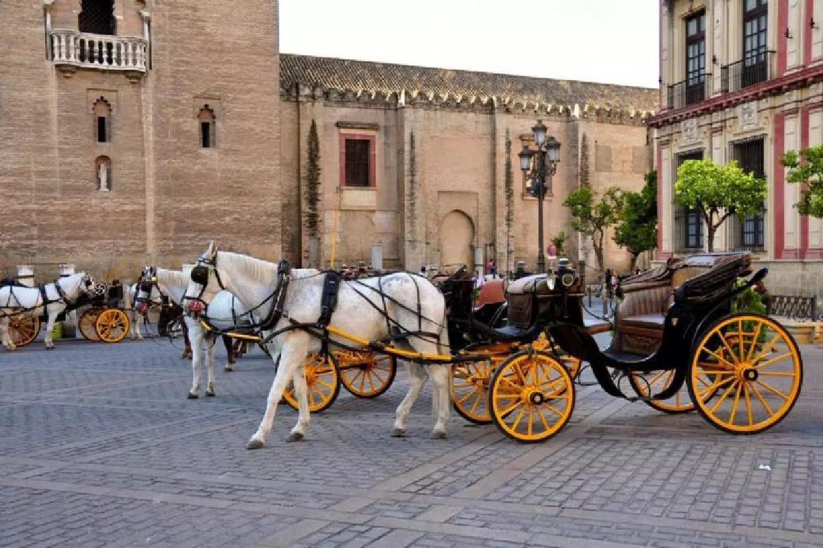 Seville Day Tour from Costa del Sol with Seville Cathedral and Plaza de España
