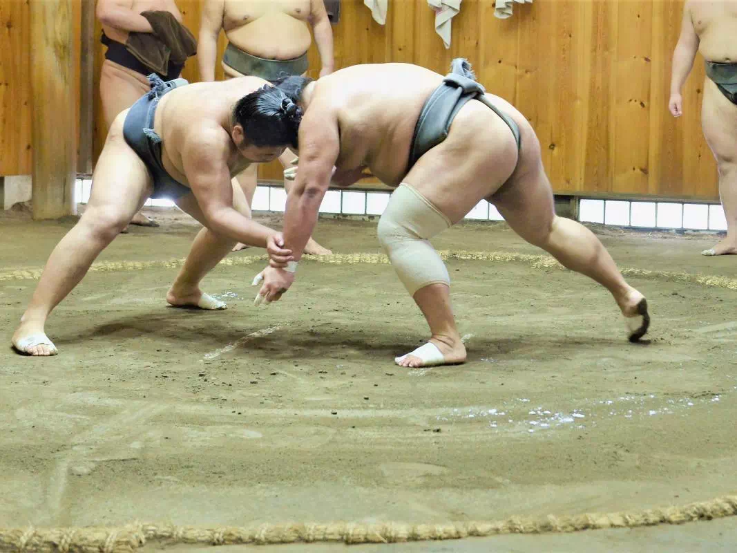 Sumo Wrestlers Morning Practice and Special Access Viewing in Tokyo with Pick-up