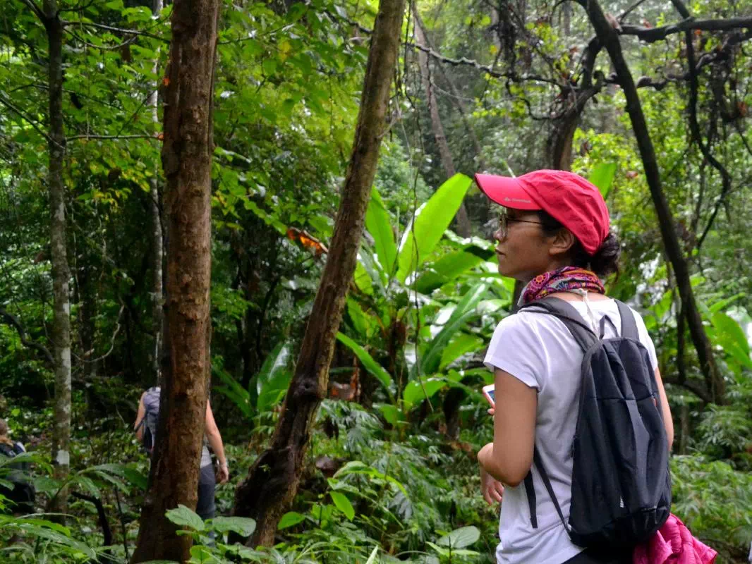 Mae Sa Valley Hiking Tour and Zipline Adventure from Chiang Mai