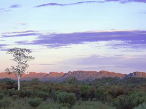 Full Day West MacDonnell National Park Tour from Alice Springs 