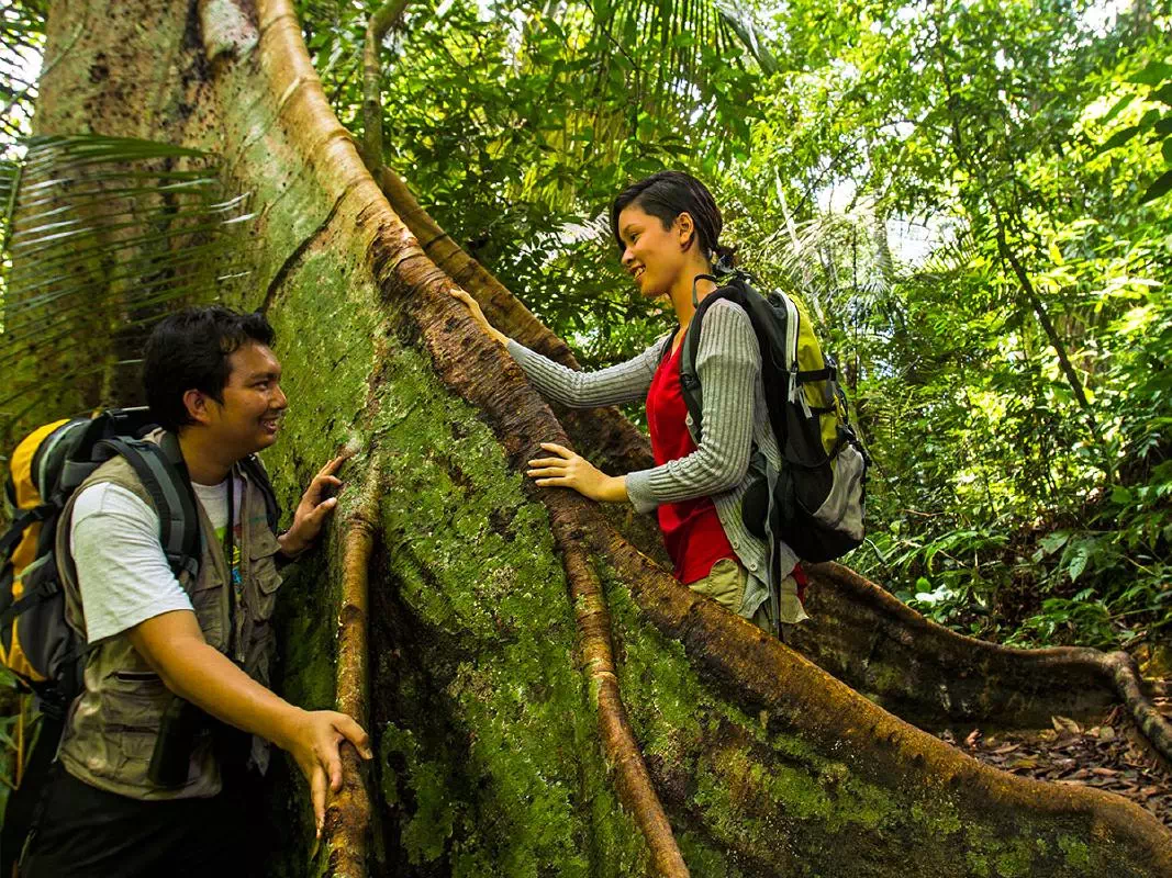 Kuala Lumpur Rainforest Adventure Half Day Tour