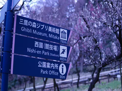 Ghibli Museum Tickets and Inokashira Park Walking Tour from Kichijoji