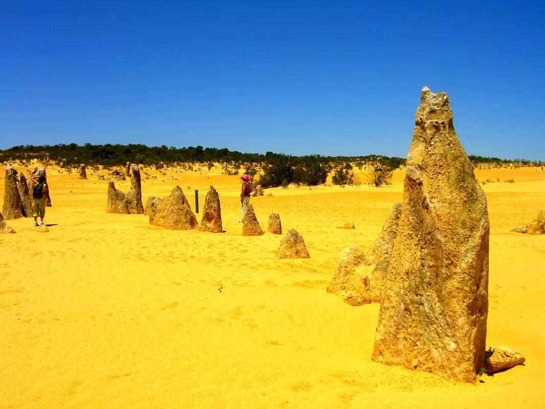 Pinnacles Desert and Lancelin Sand Dunes 4WD Adventure from Perth