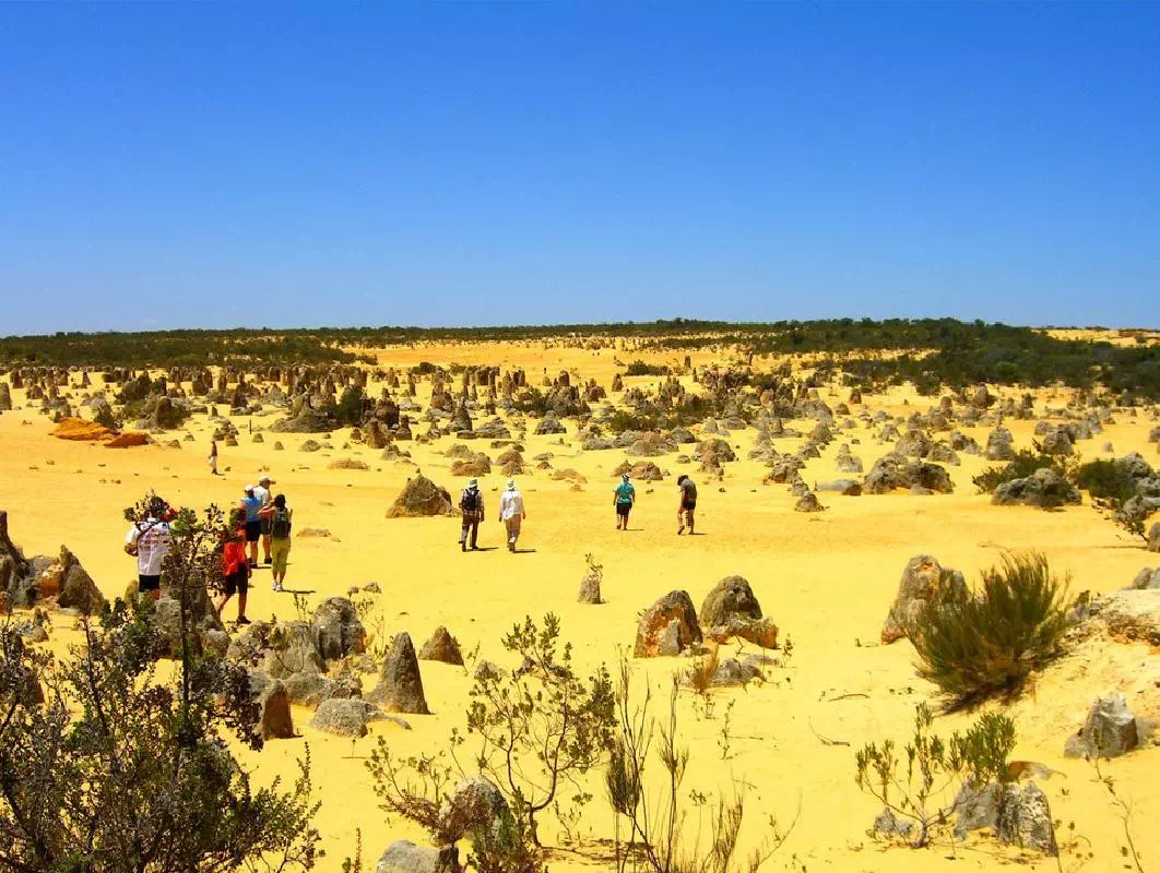 Pinnacles Desert and Lancelin Sand Dunes 4WD Adventure from Perth