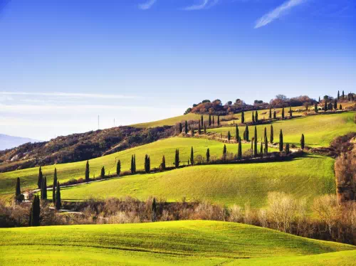 Val D'Orcia Wine Tour from Florence with Montalcino, Montepulciano and Pienza