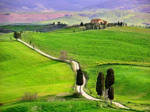 Val D'Orcia Wine Tour from Florence with Montalcino, Montepulciano and Pienza