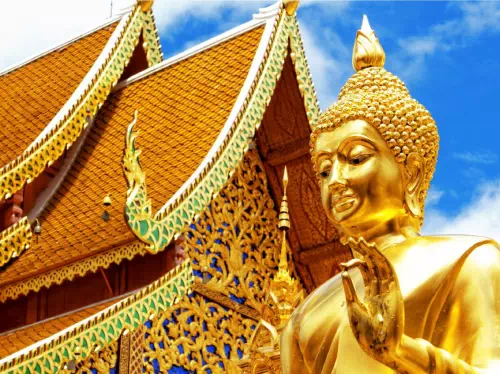 Chiang Mai's Doi Suthep and City Temples Private Half Day Tour