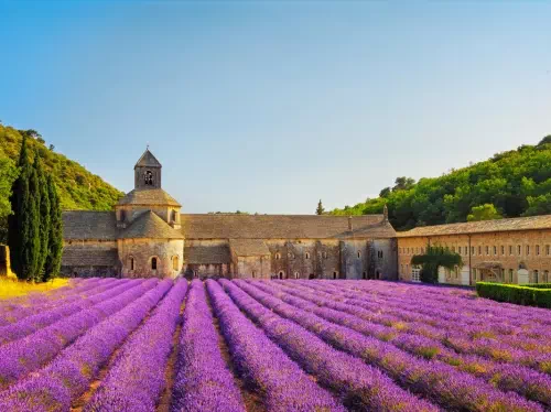 Provence Lavender Museum Full Day Tour from Arles (04 June - 15 August 2020)