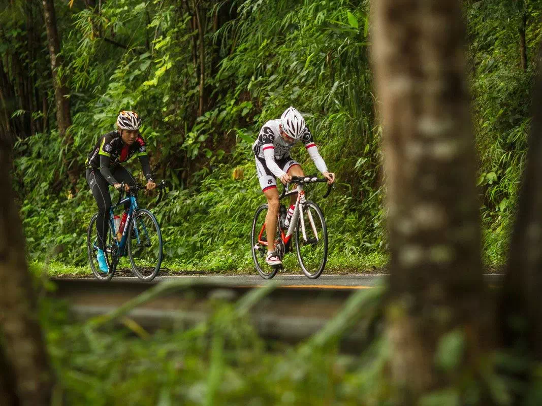 Chiang Mai to Doi Suthep Mountain Cycling Tour Through the Samoeng Loop 