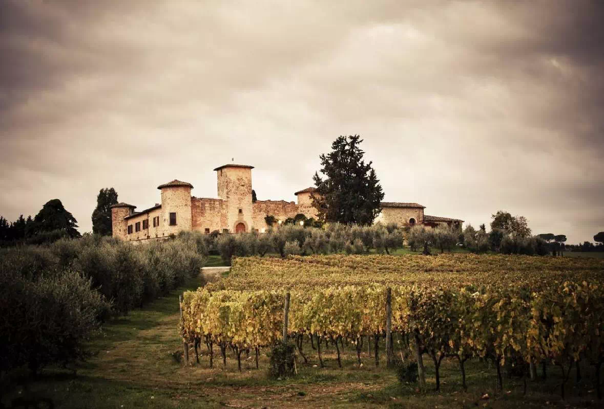 Semi-Private Super Tuscan Wine Tour from Florence with Chianti Winery & Lunch