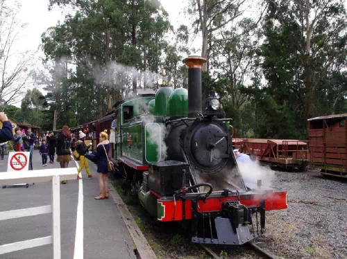 Puffing Billy Railway and Blue Dandenong Ranges Day Tour from Melbourne