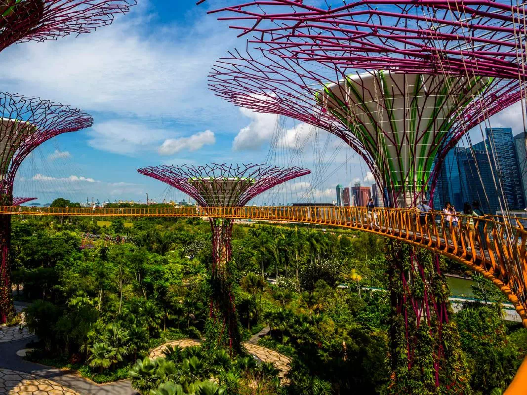 Singapore Gardens by the Bay Entry Ticket with Private Tour and Transfers