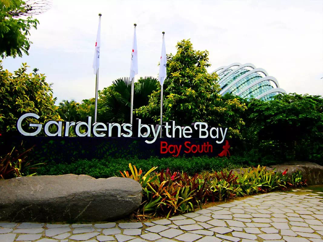 Singapore Gardens by the Bay Entry Ticket with Private Tour and Transfers