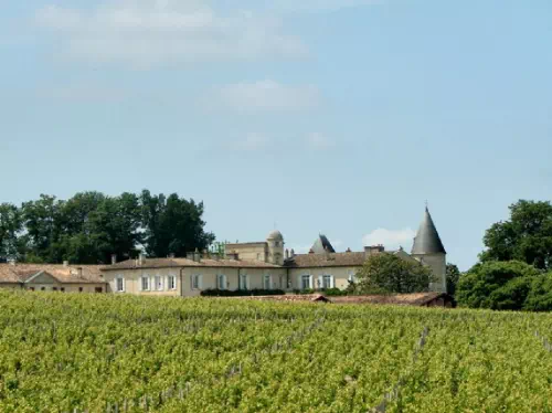 Medoc Half Day Tour from Bordeaux with Wine Tasting