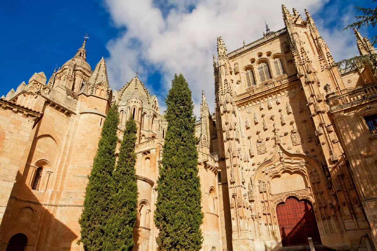 Salamanca and Avila One Day Tour from Madrid