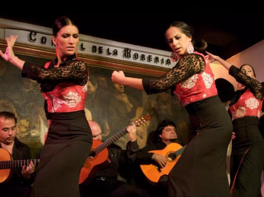 Flamenco Show with Gourmet Dinner and 1/2 Bottle of Wine