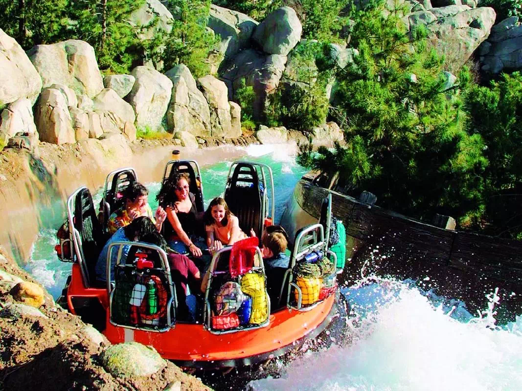 Disneyland Resort and California Adventure Tickets & Transportation