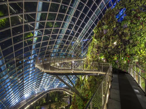 Singapore Gardens by the Bay Conservatory Tickets with Hotel Pick-up