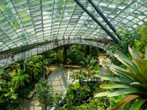 Singapore Gardens by the Bay Conservatory Tickets with Hotel Pick-up