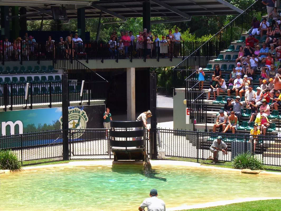 Australia Zoo Ticket with Croc Express Coach Transfers from Gold Coast