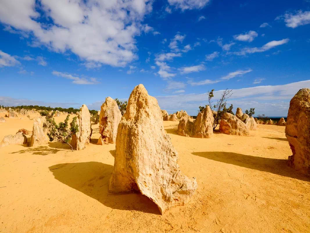 Pinnacles Desert 4WD Tour with Sandboarding and Wildlife Park Visit from Perth